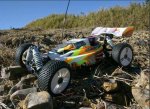1/8 B8RS Gas Buggy (Rc Nirto Car)