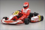 2WD Racing Kart Birel 2WD Racing Kart Birel